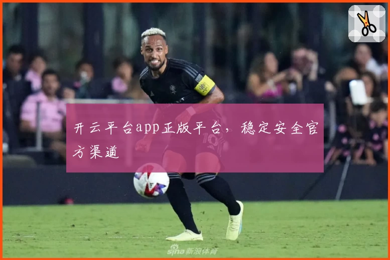 开云平台app正版平台，稳定安全官方渠道