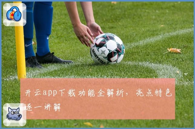 开云app下载功能全解析,亮点特色逐一讲解
