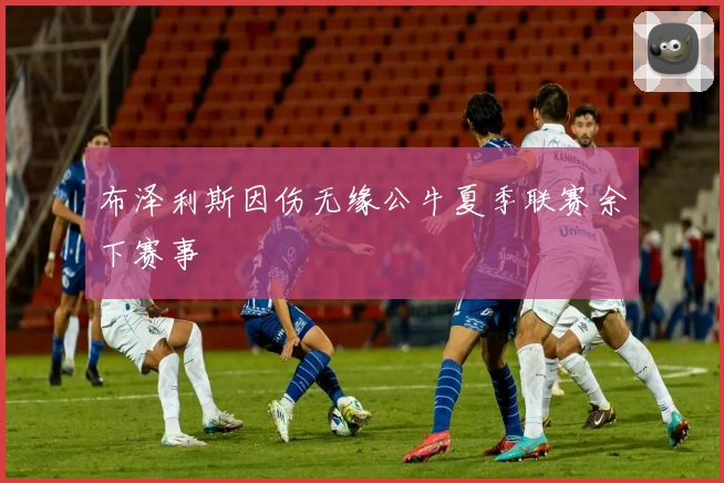 布泽利斯因伤无缘公牛夏季联赛余下赛事
