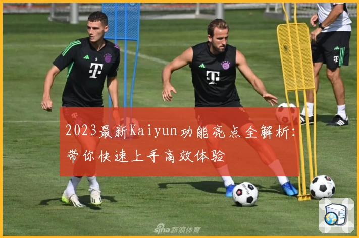 2023最新Kaiyun功能亮点全解析:带你快速上手高效体验